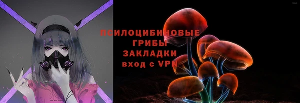 амф Алексин