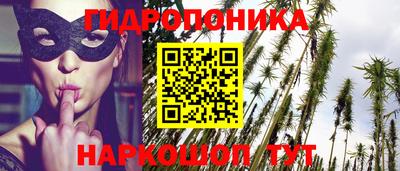 крисы Тулун