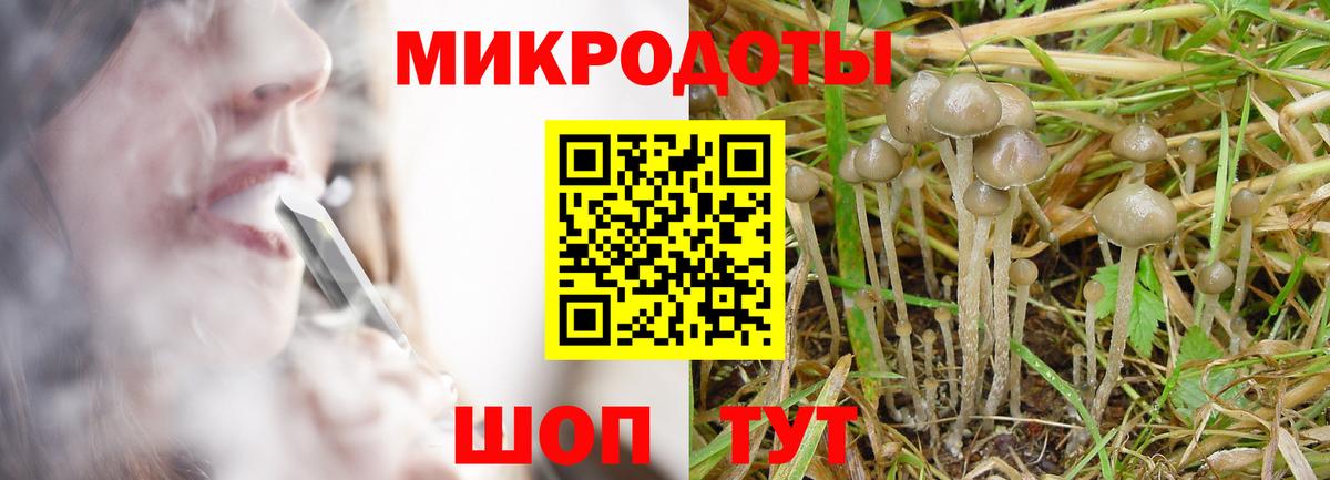 Галлюциногенные грибы Psilocybe  Вход с VPN  Смоленск  где найти   Галлюциногенные грибы Magic Shrooms 